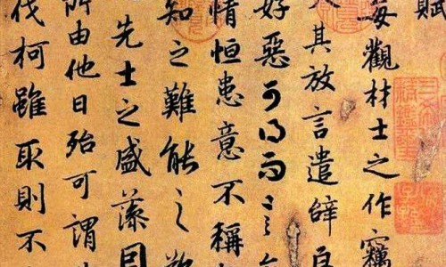 什么中药管治便秘的吗-【中药治便秘最好的药】什么中药可以治疗便秘 - 那些中药治便网