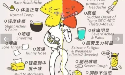 【中药治便秘最好的药】什么中药可以治疗便秘 - 那些中药治便网