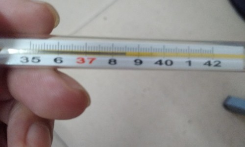 什么中药可以治疗便秘-【中药治便秘最好的药】什么中药可以治疗便秘 - 那些中药治便网